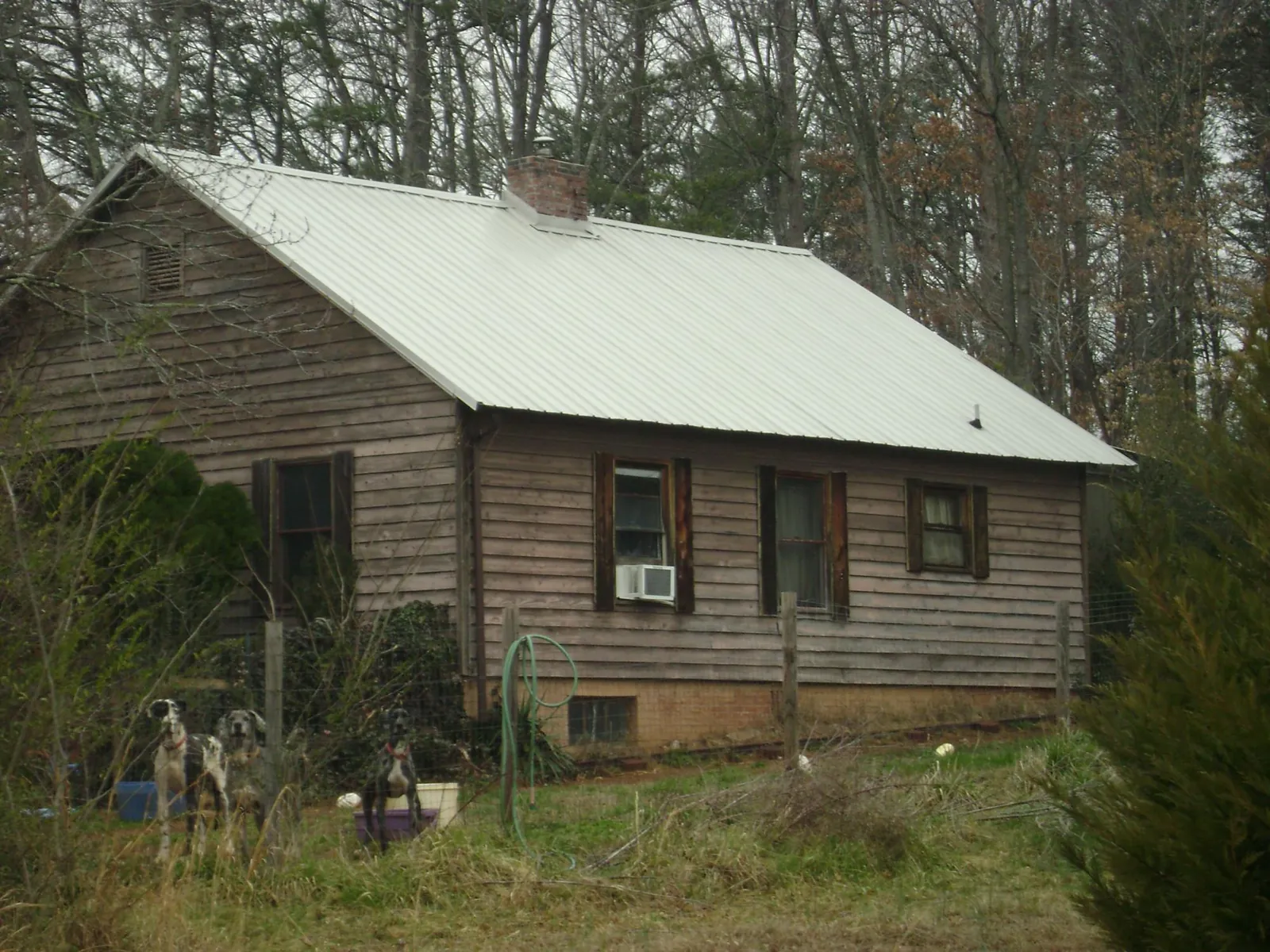 White metal roof on an old wood sided farmhouse, from a Asphalt Shingle Roof Repair job in Westley